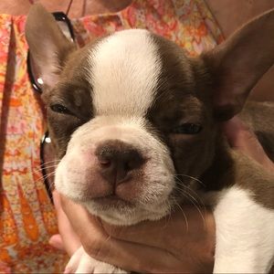 Meet your Posher, Peggy